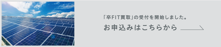 卒FIT